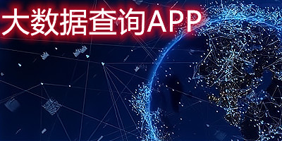 大数据查询app