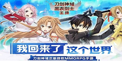 刀剑神域黑衣剑士王牌