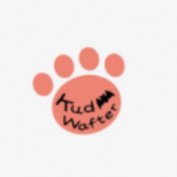 猫爪论坛最新版