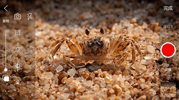 frame advance逐帧播放 v2.1.3 安卓版1