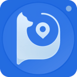 盯盯拍行车记录仪app车机版