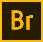 adobe bridge cc 2022最新版