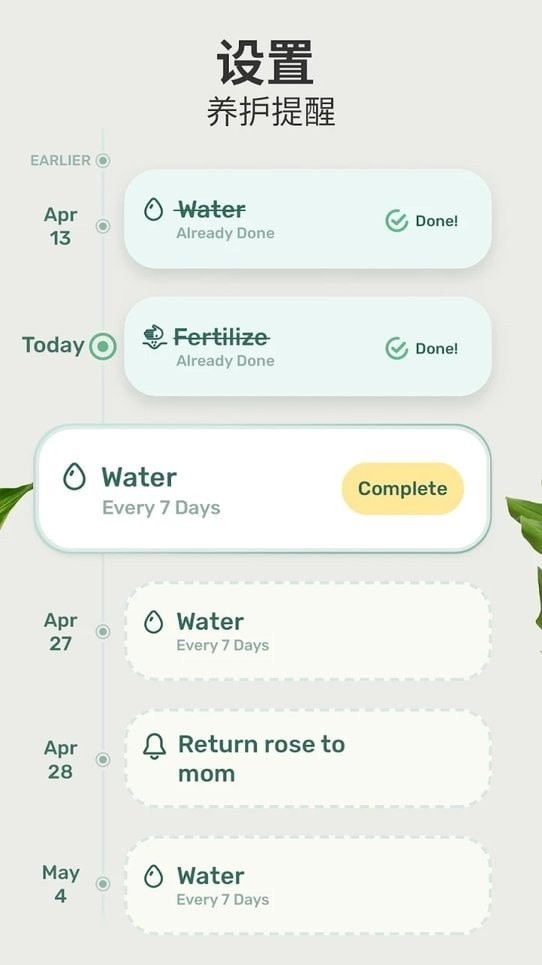blossom植物识别软件