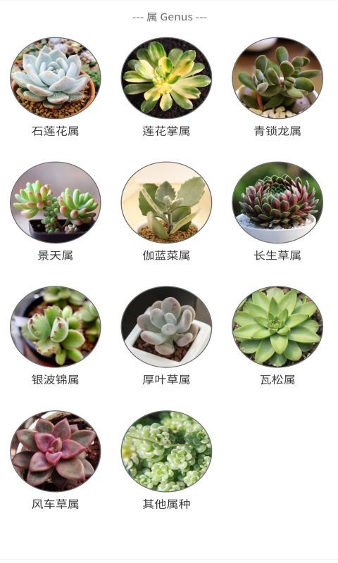 嘟嘟多肉植物软件 v1.1 安卓版1