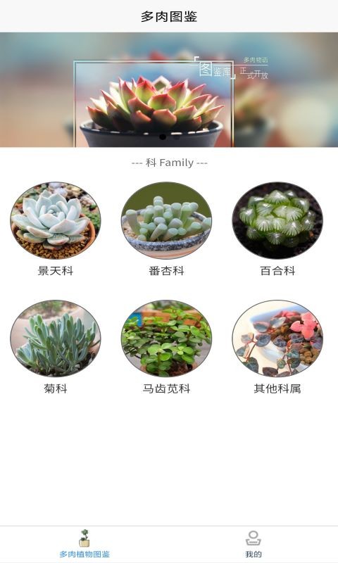 嘟嘟多肉植物软件 v1.1 安卓版2