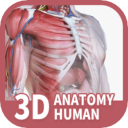 口袋解剖app