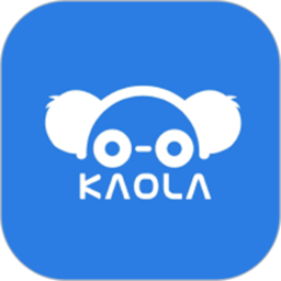 考拉陪驾陪驾端app下载