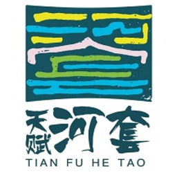 天赋河套云手机app下载