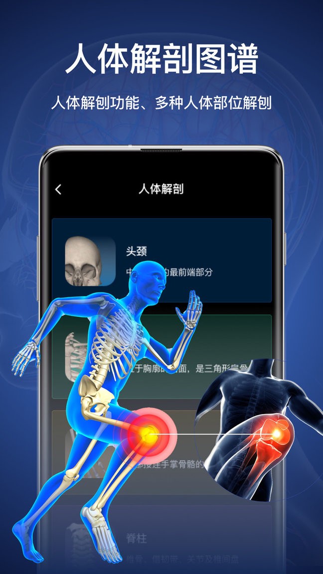 3d人体模型app 3d人体模型手机版