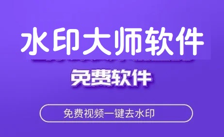 水印大师软件