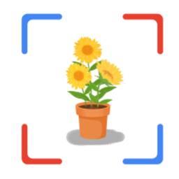 花朵识别app