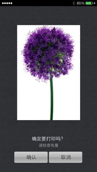 趣拍得app官方下载