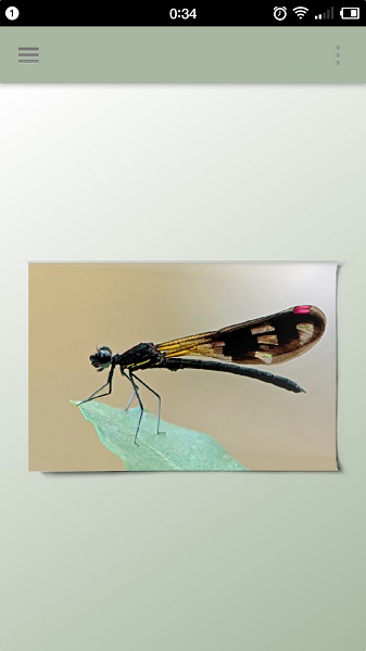 一幅相框官方版