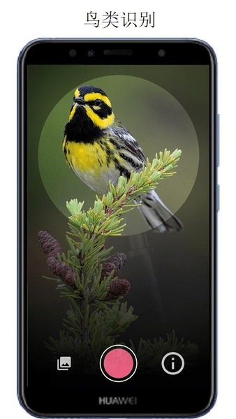 万物识别软件 v2.1.23.220426 安卓版1