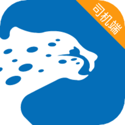 飞豹出行司机端