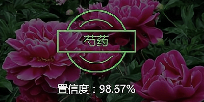 花卉识别软件