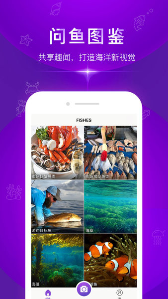 问鱼手机版 v1.1.15 安卓版2
