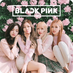 Blackpink Wallpaper app