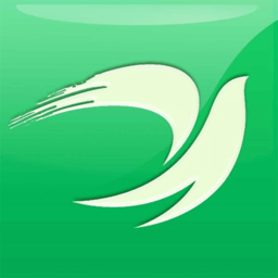 聚焦永安手机版