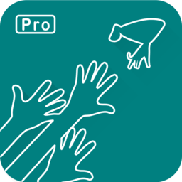 小安京东库存Pro版