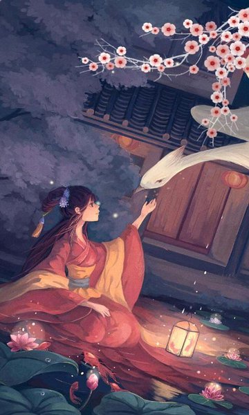 飞鸟与鱼app下载