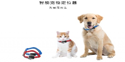 宠物定位软件