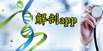 解剖app