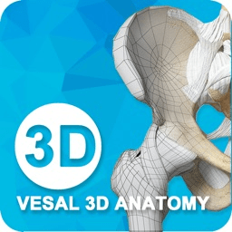 骨科专家手机版