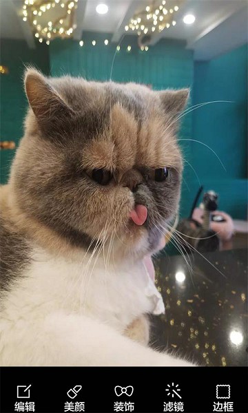 酷我表情照相机手机版 v8081.21.7.2 安卓版0