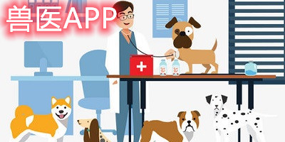 兽医app