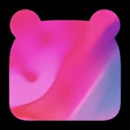 custom notch苹果版