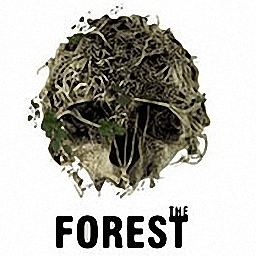 森林The Forest游戏