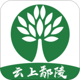 云上鄢陵app下载