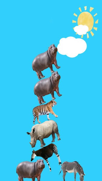 动物叠叠乐游戏 v14.1 安卓版1