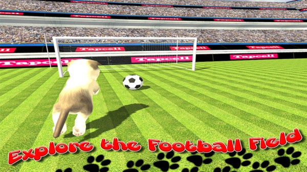 猫咪运动会手游 猫咪运动会游戏最新版下载