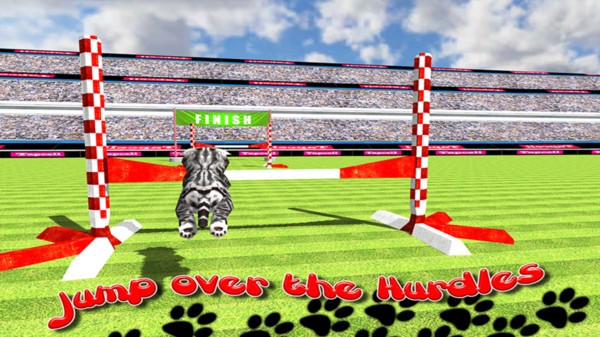 猫咪运动会手游 v1.5 安卓版1