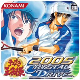 nds网球王子2005游戏