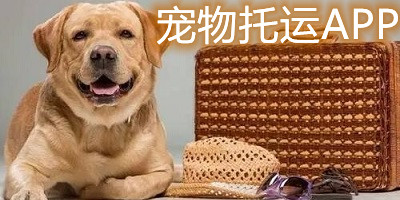 宠物托运app