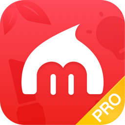 买卖人零售进销存最新版