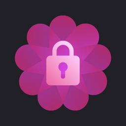 隐私加密手机版