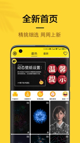 橙子4D动态壁纸官方版