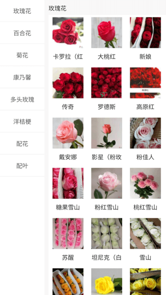 嘉佳花卉鲜花批发软件 嘉佳花卉鲜花批发一件代发app