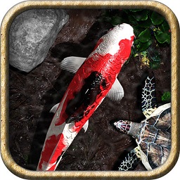 pocketpond2免费版(口袋池塘2)