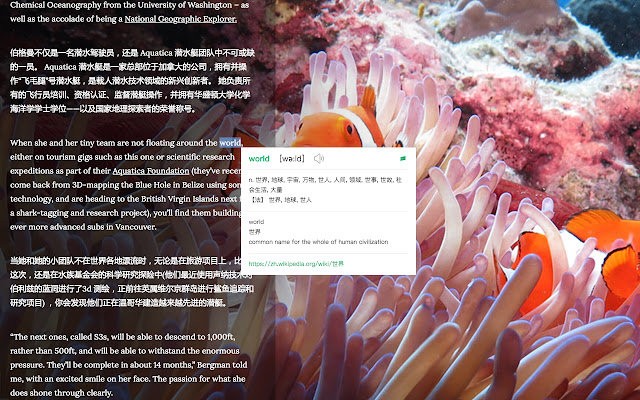 彩云小译谷歌插件 v1.2.7 chrome版 0