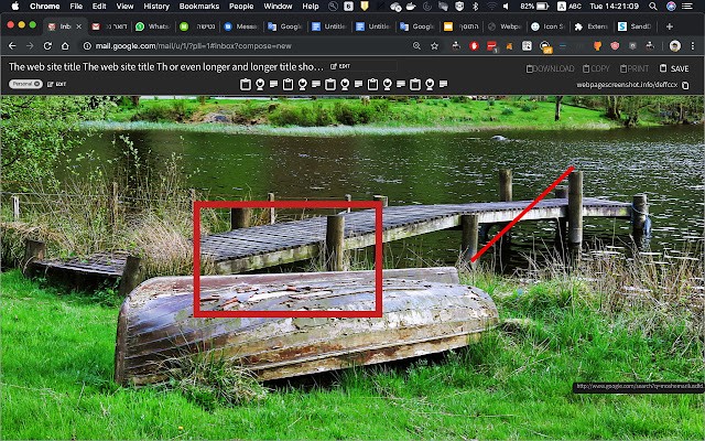 网页截图 Screenshot Extension chrome插件 v44.0.0 最新版0