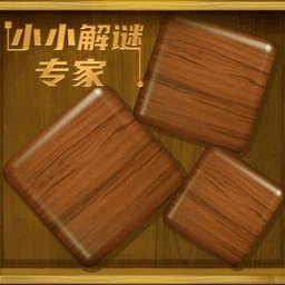 小小解谜专家游戏