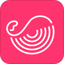 灰豚数据官方版