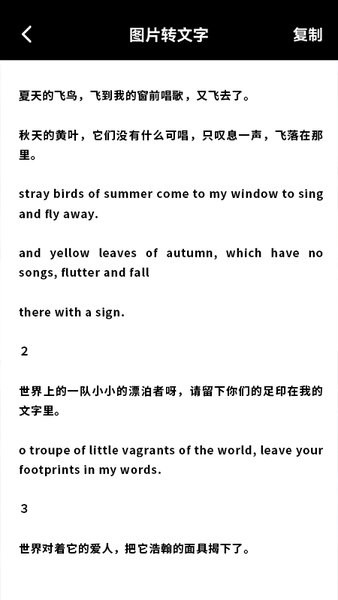 放大镜FDJ app v1.1 安卓版0