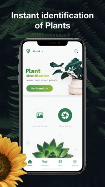 leafsnap识别植物