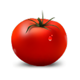 Strict Workflow番茄工作法